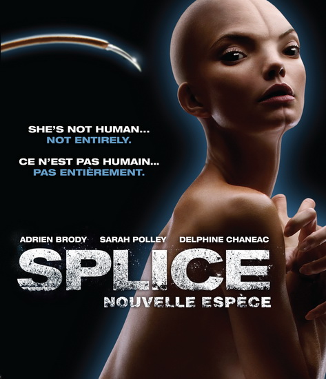 Splice | Archambault