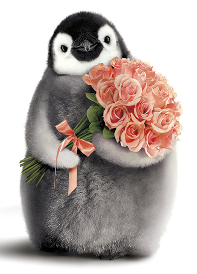 Bebe Pingouin Avec Bouquet Joyeux Anniversaire Archambault