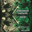 Miniaturised concertos & maché (2cd)