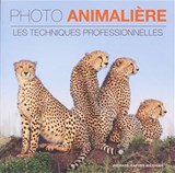 Photo animalière : les techniques professionnelles 