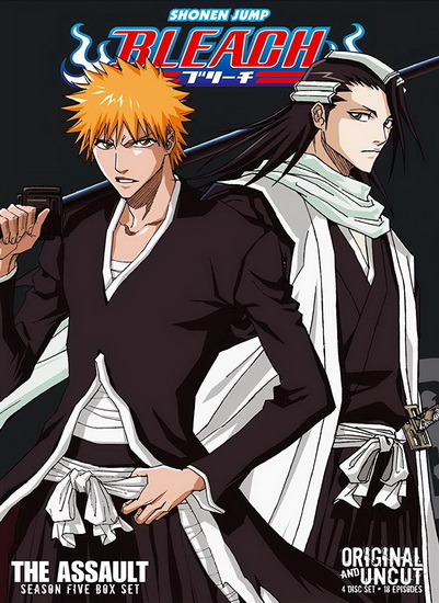 Bleach, Set 22, Episodes 304-316 (Uncut) : Movies & TV 