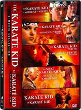 Karate Kid (5-Movie Collection)                               
