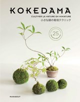 Atelier kokedama : un jardin en ville