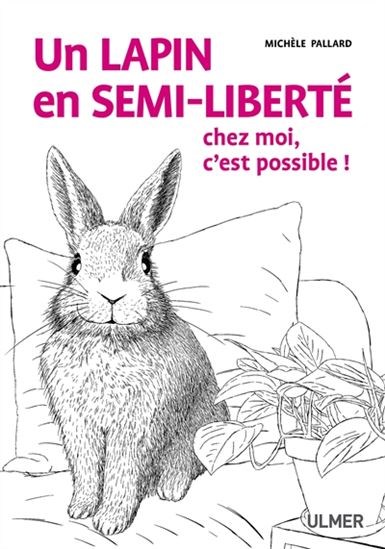 Un lapin en semi-liberté chez moi, c'est possible ! n. éd.