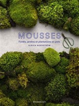 Mousses : forêts, jardins et plantations en pots