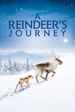 Aïlo: a reindeer's journey (une odyssée en laponie) 