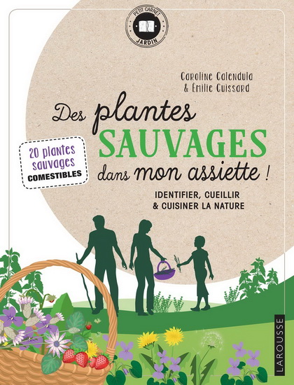 Des plantes sauvages dans mon assiette ! : identifier, cueillir & cuisiner  la nature : 20 plantes sauvages comestibles | Archambault