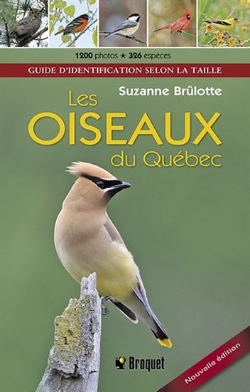 Oiseaux du Québec, guide d'identification selon la taille(Les) N