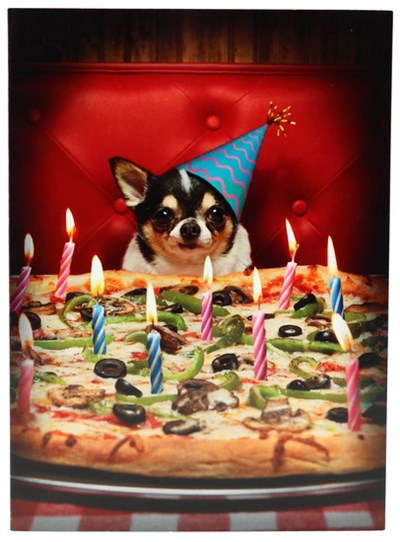 Chien Devant Pizza Bon Anniversaire Avec Tous Les Extras Archambault
