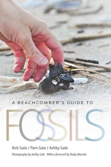 A beachcomber's guide to fossils