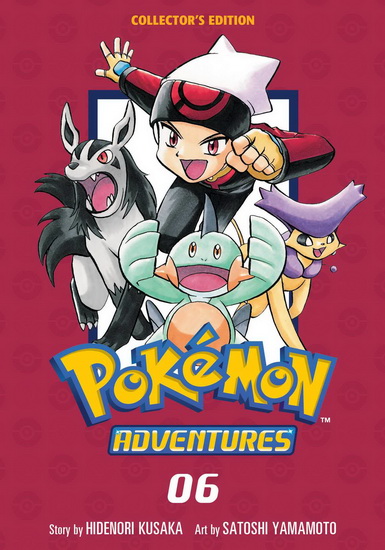 ポケモンワンダーランド　Vol.6 付録5点全部あります！ポケモンワンダーランドVol6 - メルカリ