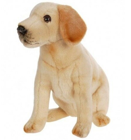 Peluches labrador cheap