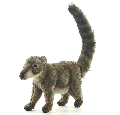 Peluche coati store