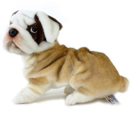 Peluche bulldog on sale