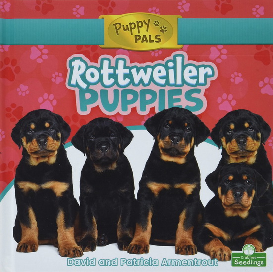 Rottweiler sale hot sale