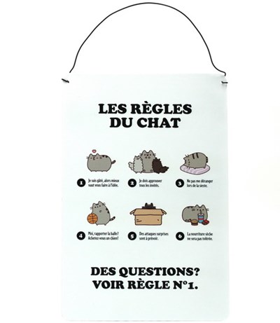 Plaque Les Regles Du Chat Archambault