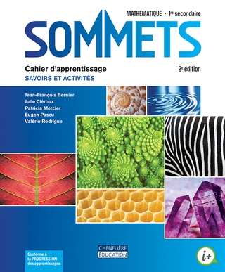 Sommets : mathématique, 1re secondaire : cahier d'apprentissage ...