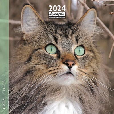 Calendrier 2024 Cats