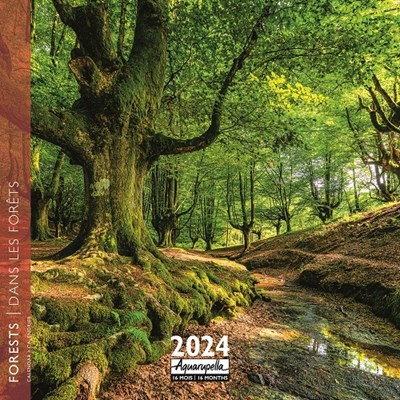Calendrier 2024 Dans les forêts 30x30cm