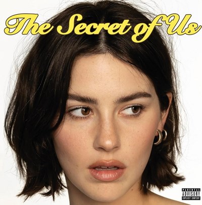 The secret of us  (vinyle)