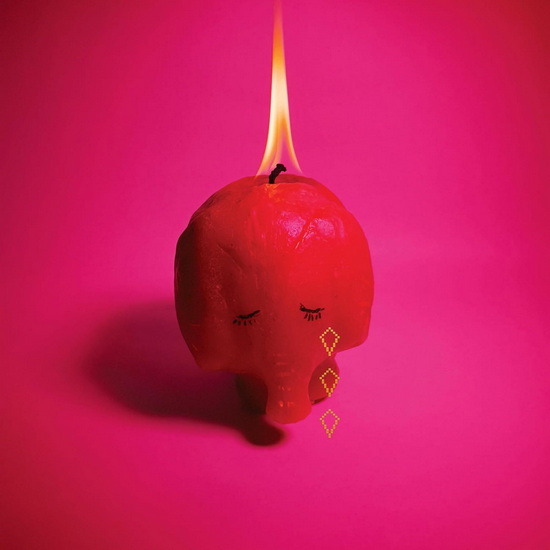 その他 Dwig Forget The Pink Elephant 2LP 12\