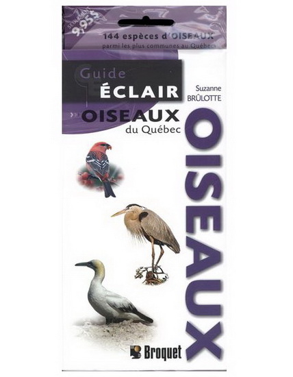Comme un oiseau 1996 カタログ Oiseaux du Québec | Archambault